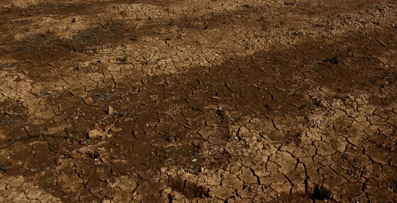 Adaptation pathways for climate-resilient development: Selected cases in Cambodia, Myanmar, and the Philippines (Adaptation pathways for CRD)