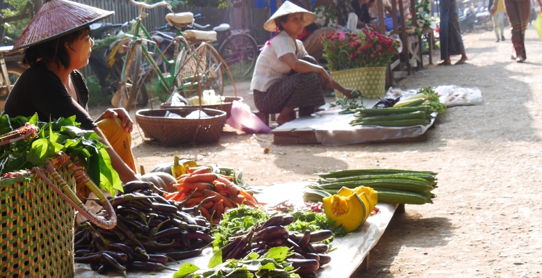 Empowering Civil Society and Governmental Agencies to Mainstream Biodiversity and Ecosystem Service Values into Development Plans for the Chindwin River Basin, Myanmar