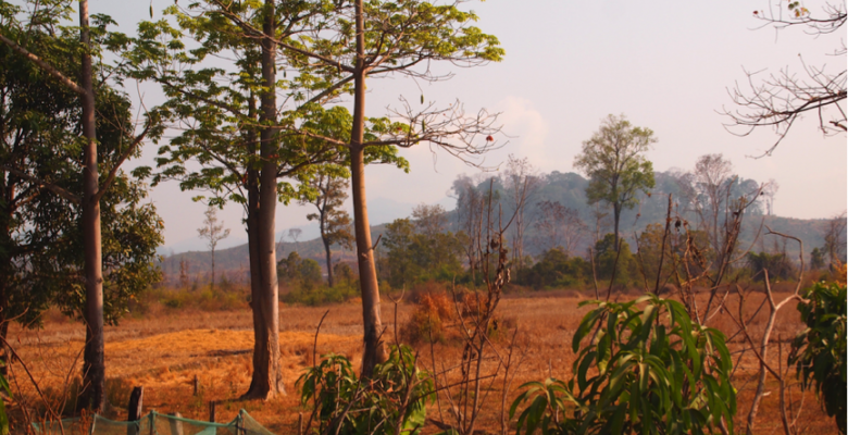 Gendered impact of cross-border agricultural investment: Case of rubber plantations in northern Laos, Myanmar, and Cambodia (GIAI-Rubber)