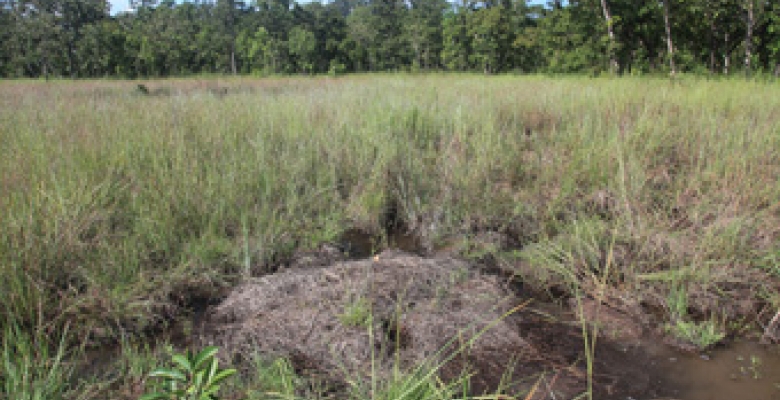 Understanding, classifying and mapping human use and natural resources in pilot wetlands of Cambodia and Vietnam to promote sustainable development (Collaborative study of small wetlands)