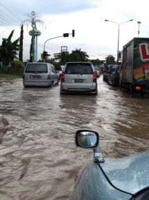 Application of livelihood vulnerability index to assess risks from flood vulnerability and climate variability - A case study in the Mekong Delta of Vietnam