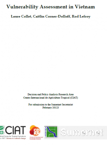 Vulnerability assessment in Vietnam