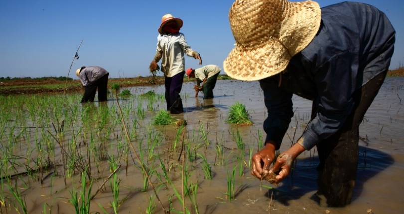 First steps toward wetland and agro-ecological farming recovery in the Mekong Region