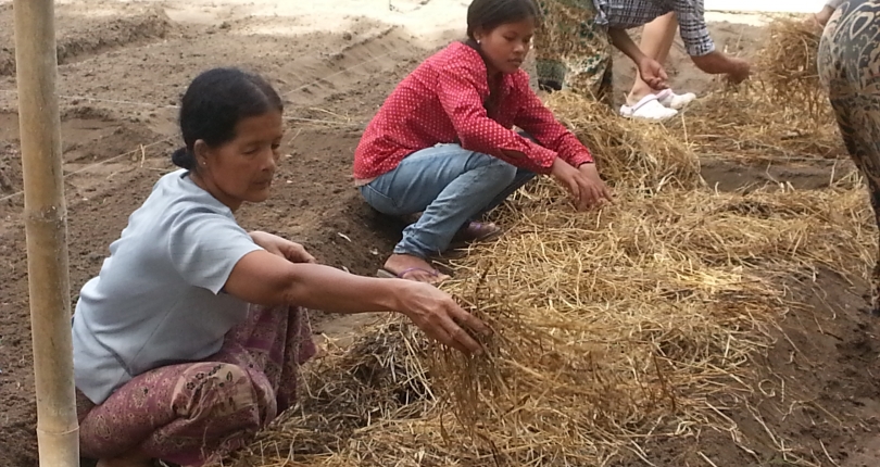 Gender and social equity workshop to be held for SUMERNET partners