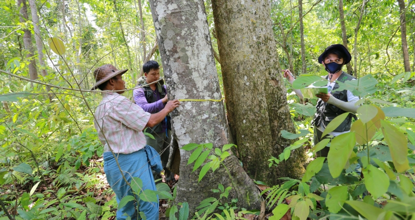 Biodiversity Assessment and Media Training Workshop: Communicating on development, biodiversity and livelihoods in the Chindwin River Basin, 16-17 August 2018
