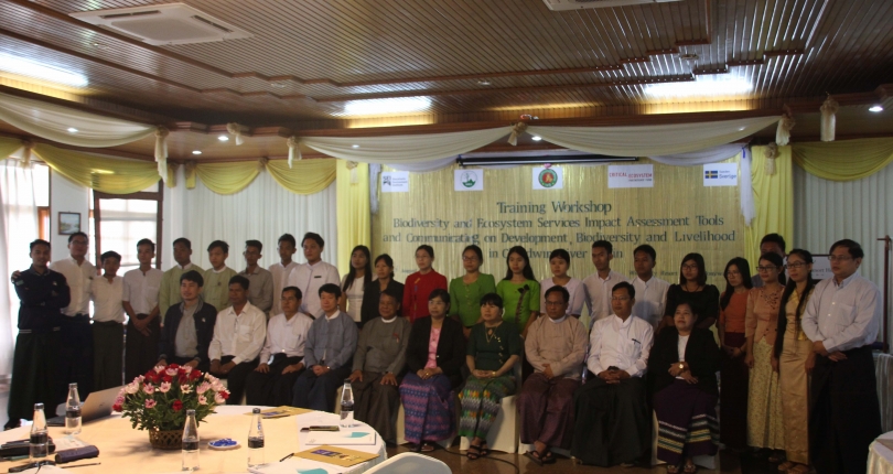 Biodiversity mapping and assessment in the Chindwin Basin