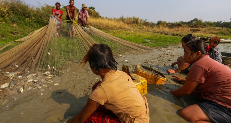 Chindwin Basin biodiversity faces serious threats, urgent conservation measures needed, say SEI’s scientists