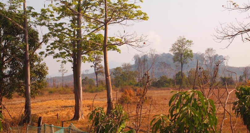 Rubber concessions in the Mekong Region: A gender perspective