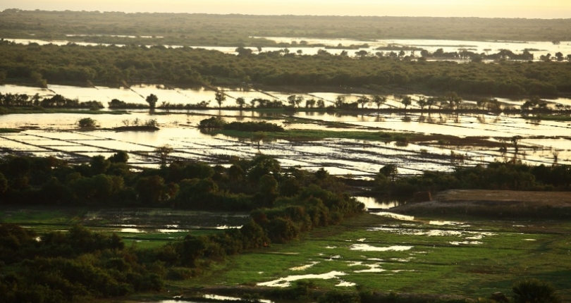 SUMERNET annual meeting and policy forum reschedule