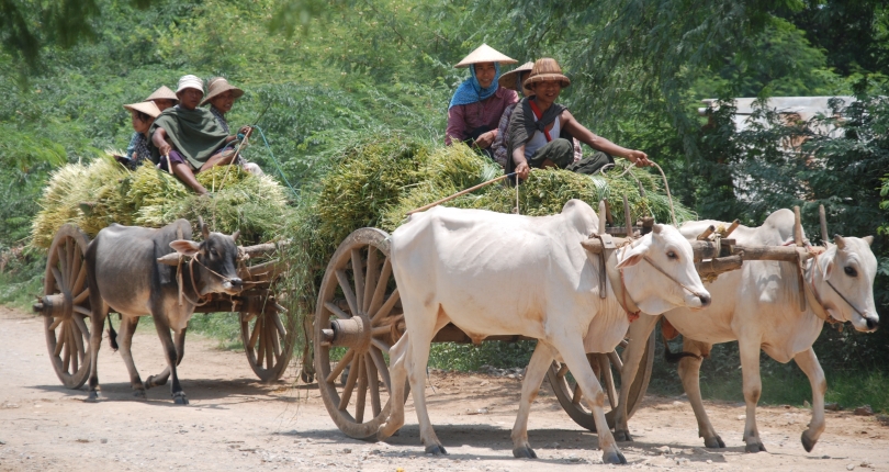 Climate change threats on food security in Asia: A look at Cambodia and Myanmar