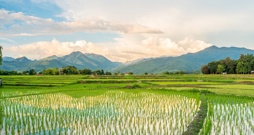 New publication: SUMERNET 4 All: Project profiles (2019-2023)