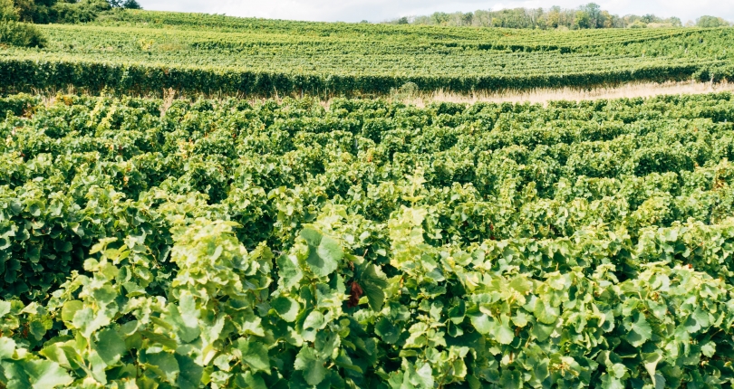 Lessons for integrating health and environment research in SUMERNET