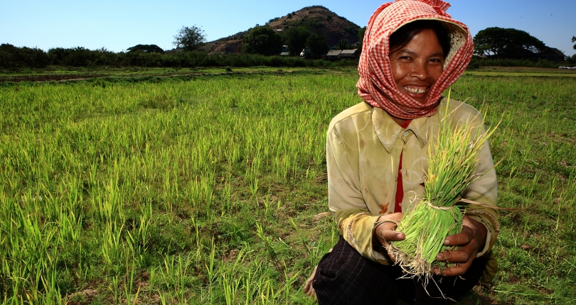 SUMERNET 4 All Call for Expression of Interest on Joint Action Grants 2020