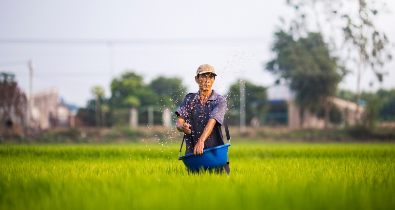 Saving water, saving livelihoods in the Mekong Delta