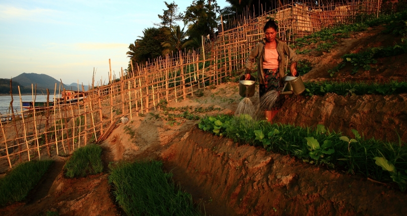 Remote research and ethics during the COVID-19 pandemic