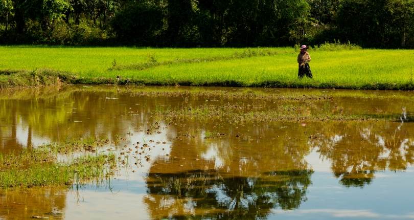 Savannakhet strengthens agricultural resilience through climate adaptation research
