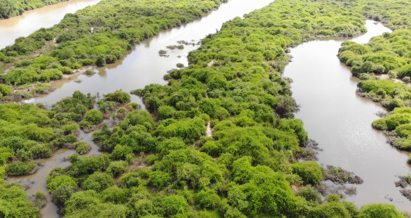 Conserving and restoring Mekong’s wetland ecosystems