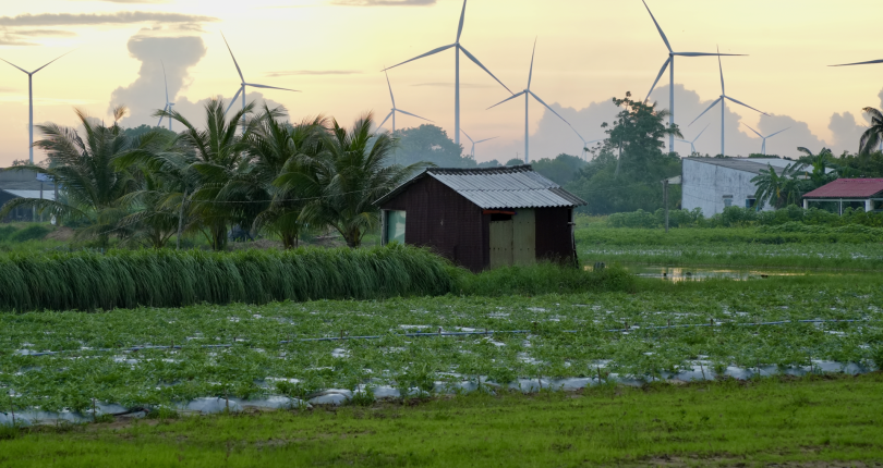 Mekong delta, Vietnam’s rice bowl, is sinking