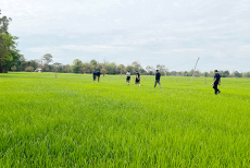 From skepticism to action: Savannakhet farmers embrace carbon credit scheme
