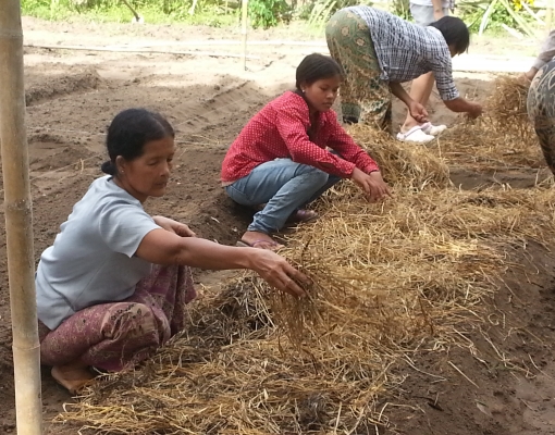 Gender and social equity workshop to be held for SUMERNET partners