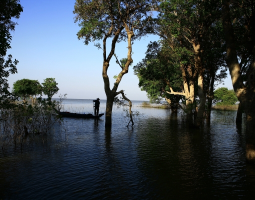 Addressing complexity in planning for the water/food/energy nexus in the Mekong: Using the “Robust Decision Support” (RDS) approach