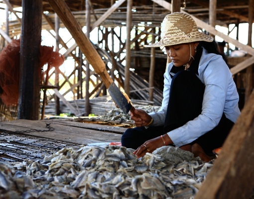 Adaptation Pathways: Exploring household adaptation strategies to improve local community resilience