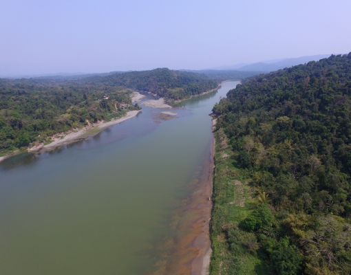 Short film on "Saving Chindwin's Biodiversity"
