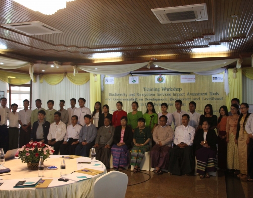 Biodiversity mapping and assessment in the Chindwin Basin