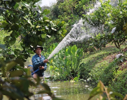 Data exposes flaws in Mekong Delta resilience plans