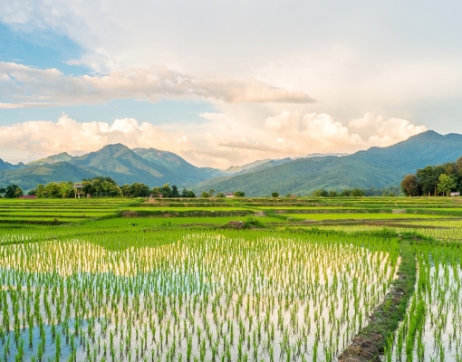 New publication: SUMERNET 4 All: Project profiles (2019-2023)