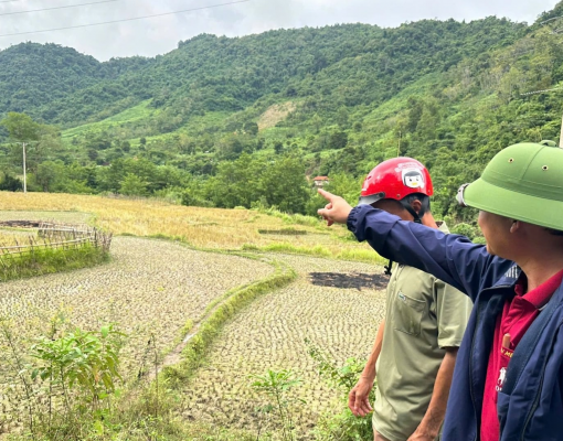 The dark side behind the light from small hydropower