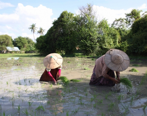 Importance of community-based initiative for disaster risk reduction