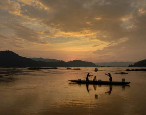 SUMERNET Young Professionals (SYP)