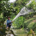 Data exposes flaws in Mekong Delta resilience plans