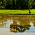 Savannakhet strengthens agricultural resilience through climate adaptation research